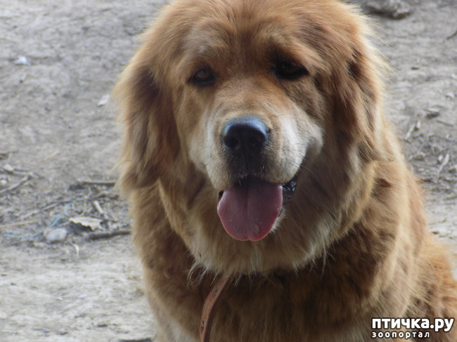 ���� 8: ���� - ��� ��������� �����.