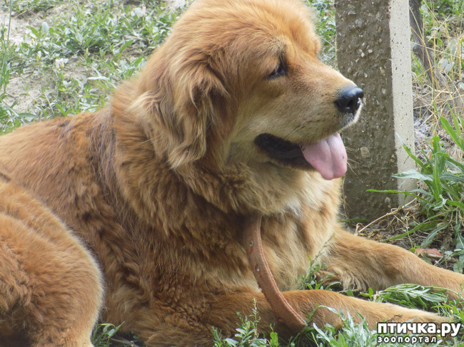 ���� 9: ���� - ��� ��������� �����.