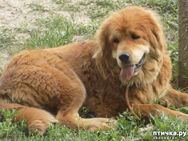 ���� 10: ���� - ��� ��������� �����.