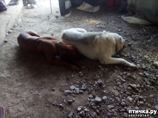 ���� 11: ���� - ��� ��������� �����.