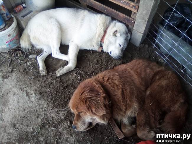 ���� 12: ���� - ��� ��������� �����.