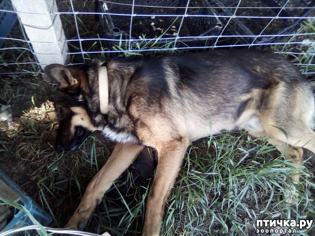 ���� 14: ���� - ��� ��������� �����.