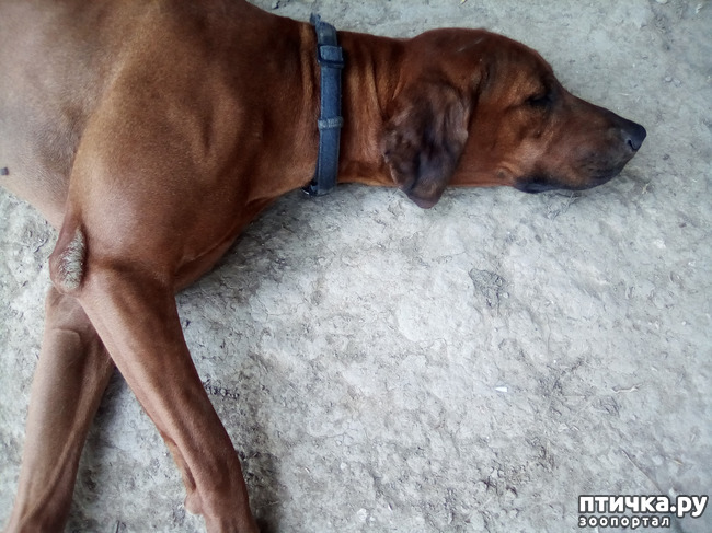 ���� 16: ���� - ��� ��������� �����.