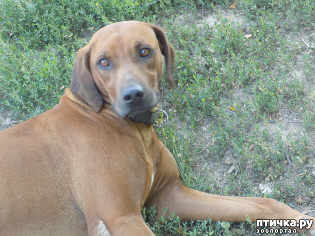 ���� 17: ���� - ��� ��������� �����.