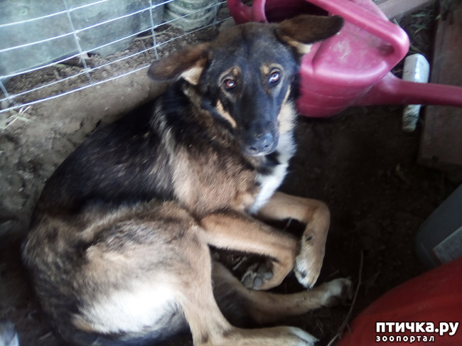 ���� 18: ���� - ��� ��������� �����.