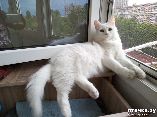 ���� 3: ����� ������