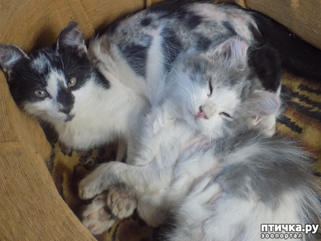 ���� 19: ���� - ��� ��������� �����.