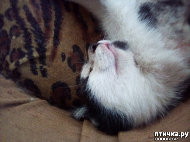 ���� 20: ���� - ��� ��������� �����.