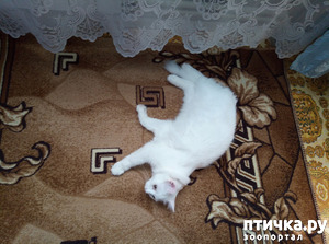 ����: ����� ������