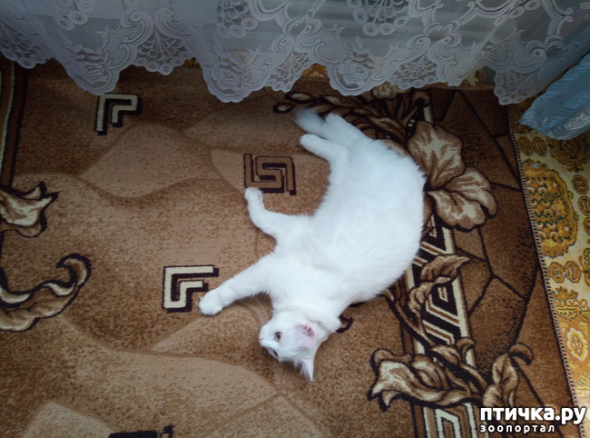 ���� 1: ����� ������