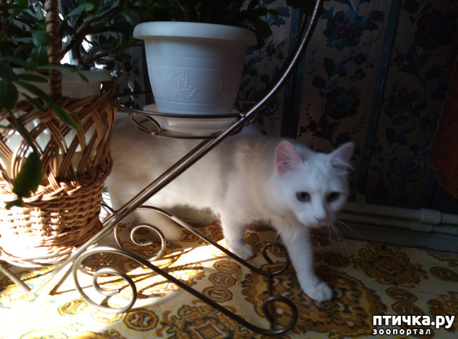 ���� 2: ����� ������