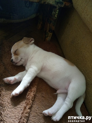 ����: ������ � ����� ����. � �������� ���� � ����.