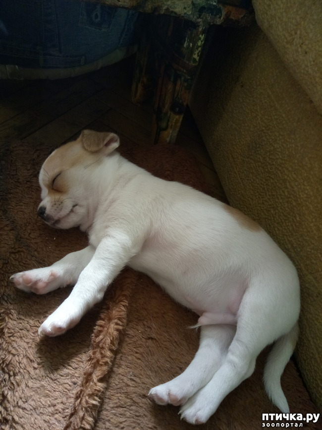 ���� 1: ������ � ����� ����. � �������� ���� � ����.