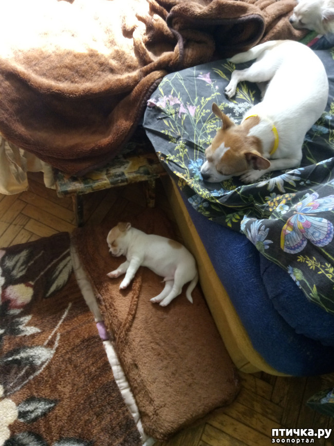 ���� 2: ������ � ����� ����. � �������� ���� � ����.