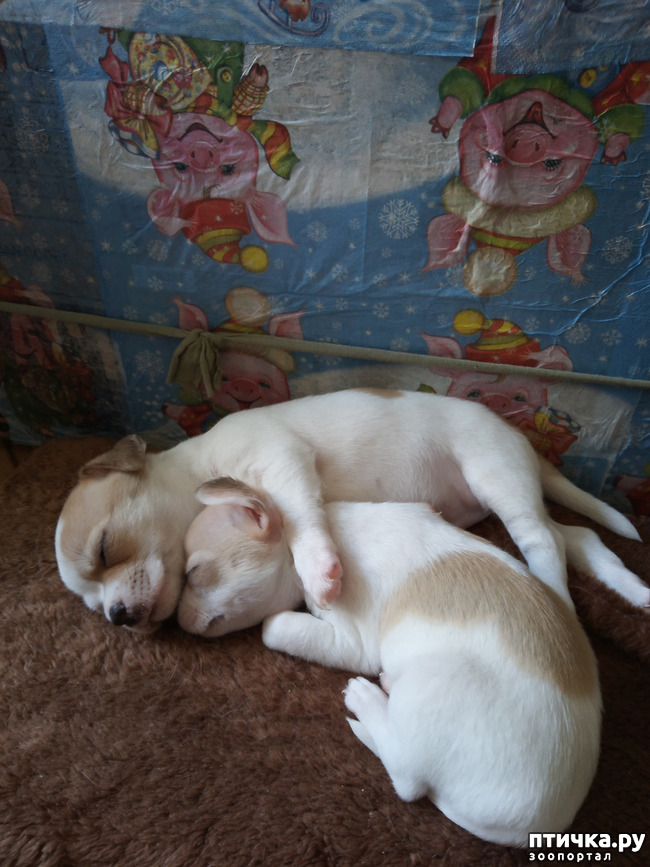 ���� 3: ������ � ����� ����. � �������� ���� � ����.