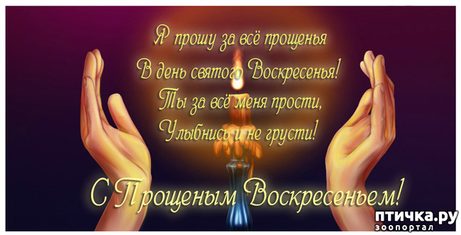 ���� 2: �������� �����������