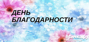 ����: ���� �������������