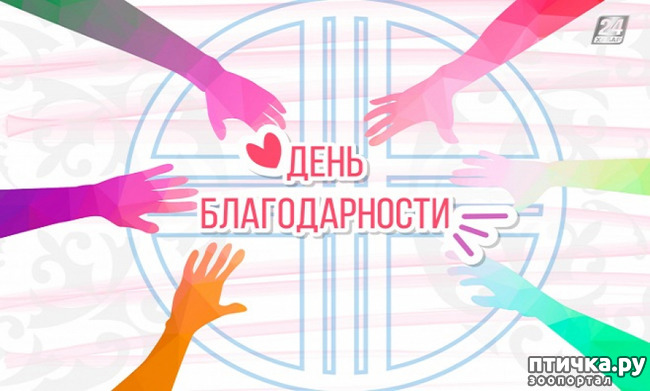 ���� 2: ���� �������������