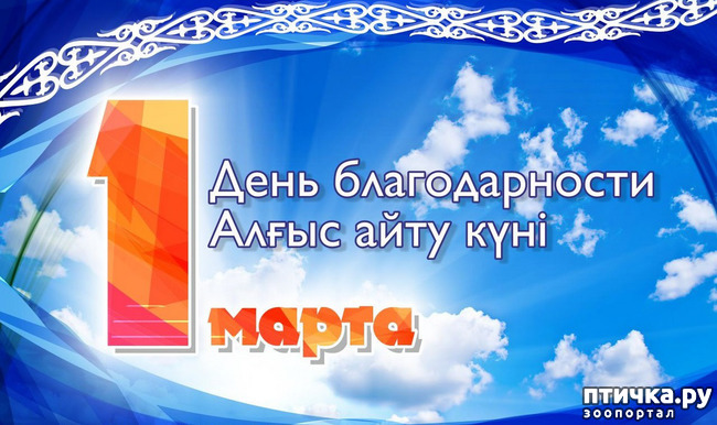 ���� 3: ���� �������������