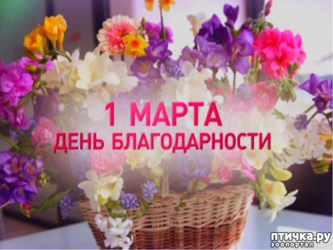 ���� 5: ���� �������������