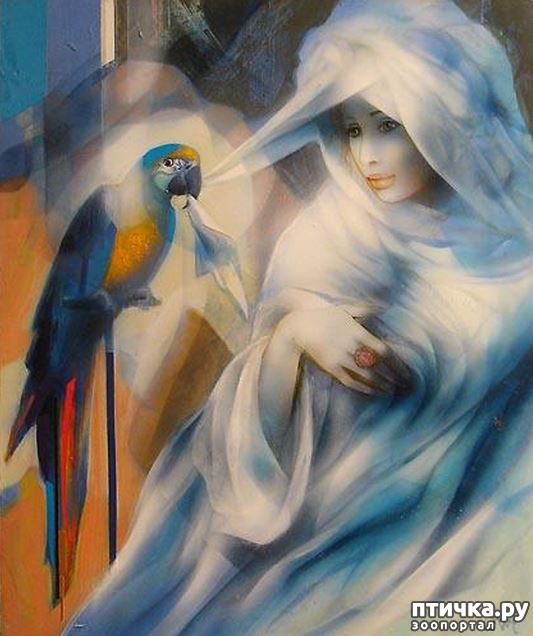 ���� 16: Jean-Baptiste Valadie, ��������� ������� ��������