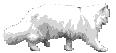  14:      