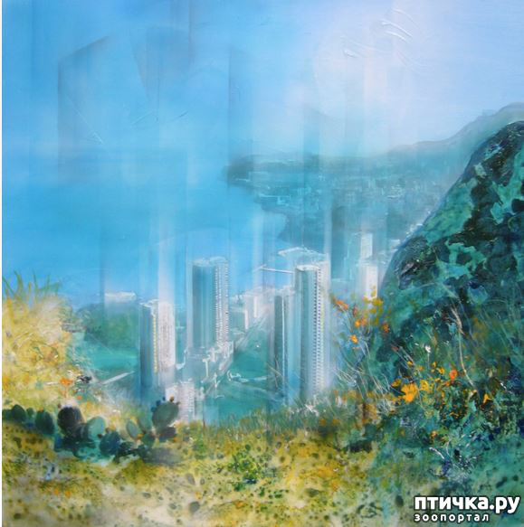 ���� 19: Jean-Baptiste Valadie, ��������� ������� ��������