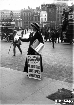 ����: 8 - �����, ������