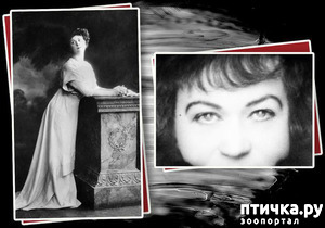 ����: ��������. ���� ��� �� ����.