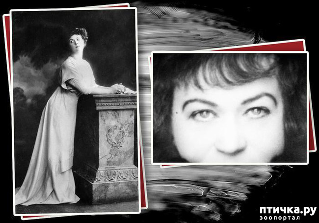 ���� 1: ��������. ���� ��� �� ����.