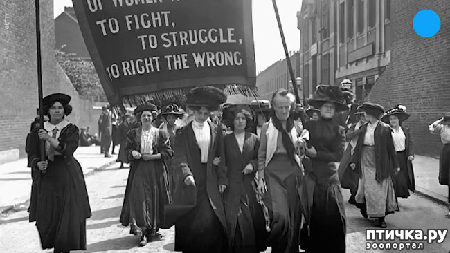 ���� 5: 8 - �����, ������