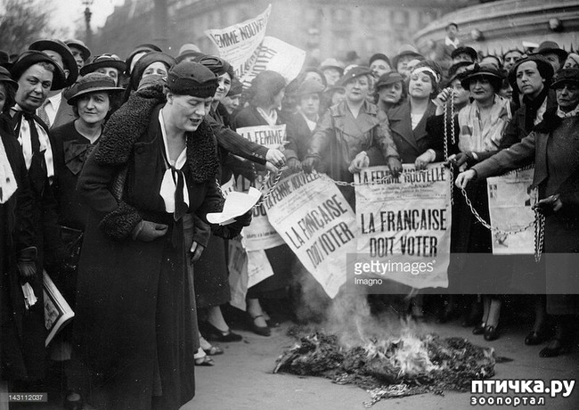 ���� 9: 8 - �����, ������