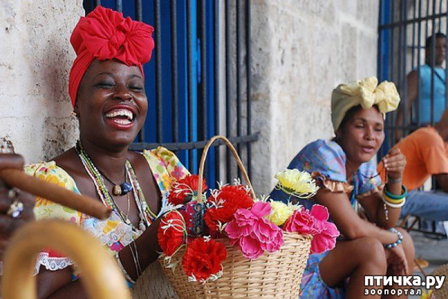 ���� 11: 8 - �����, ������