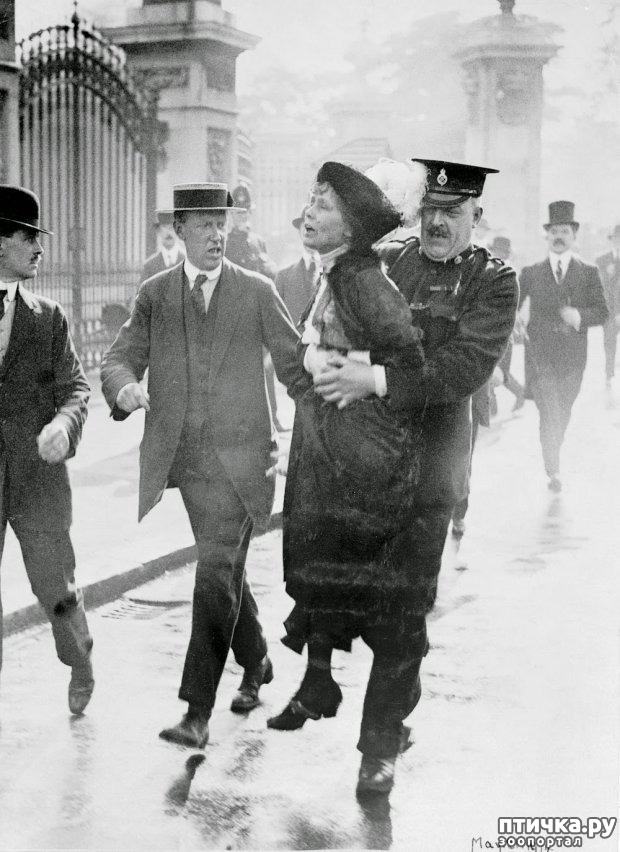 ���� 7: 8 - �����, ������