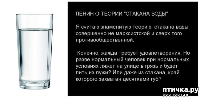 ���� 2: ��������. ���� ��� �� ����.