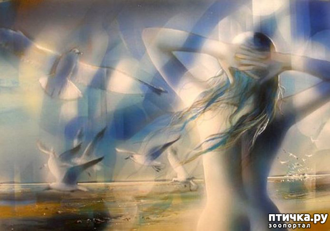 ���� 2: Jean-Baptiste Valadie, ��������� ������� ��������