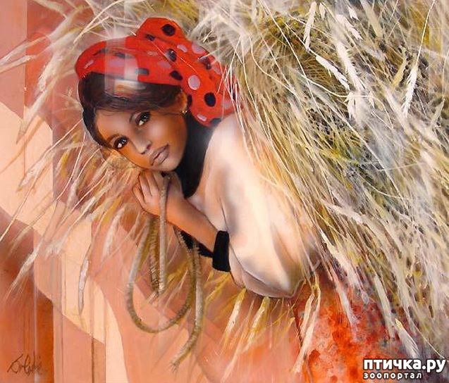 ���� 5: Jean-Baptiste Valadie, ��������� ������� ��������