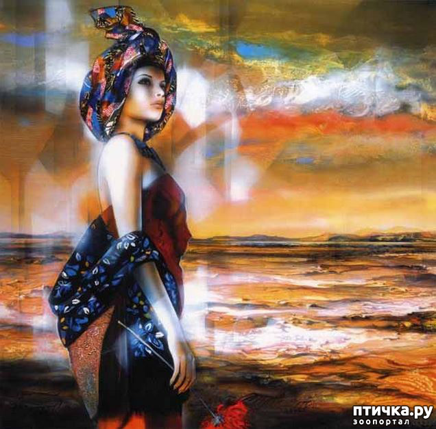 ���� 10: Jean-Baptiste Valadie, ��������� ������� ��������