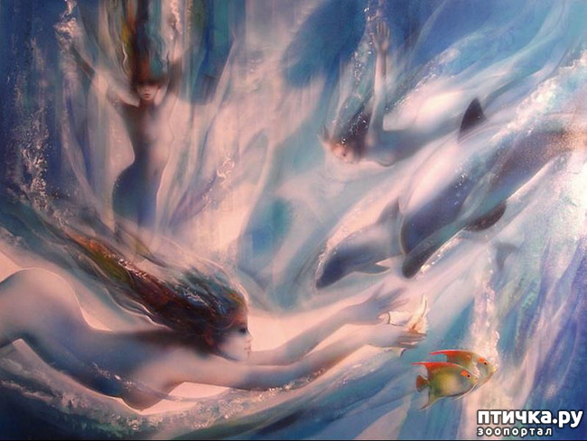 ���� 7: Jean-Baptiste Valadie, ��������� ������� ��������