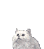  2:      