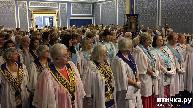 ���� 2: 8-�����, ���������� �����