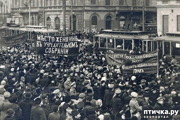 ���� 5: 8-�����, ���������� �����