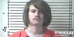 ����: ������, ��������� � ��������� ������ ������ ������ (�������)