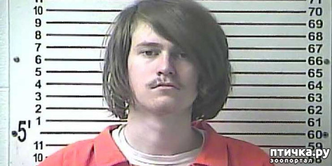 ���� 1: ������, ��������� � ��������� ������ ������ ������ (�������)