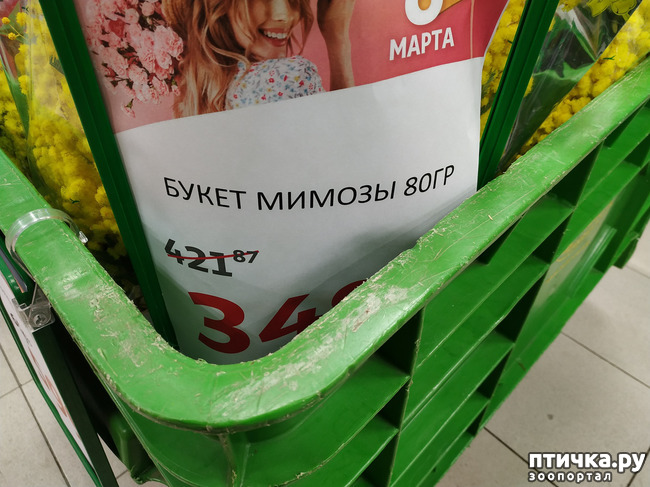 ���� 6: 8-�����, ���������� �����