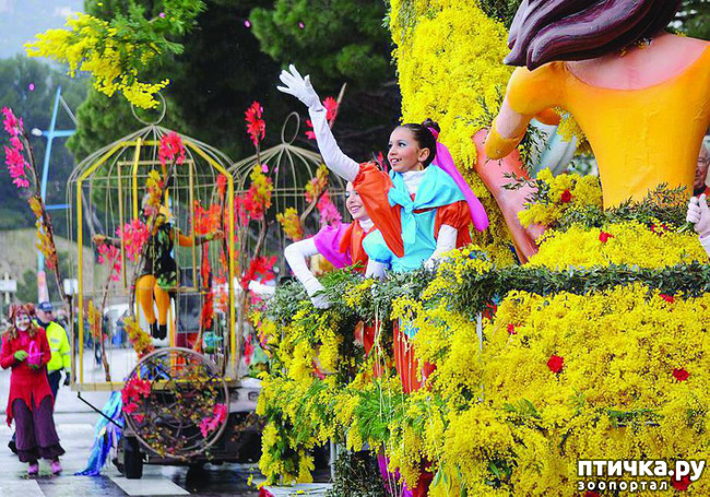 ���� 15: ������