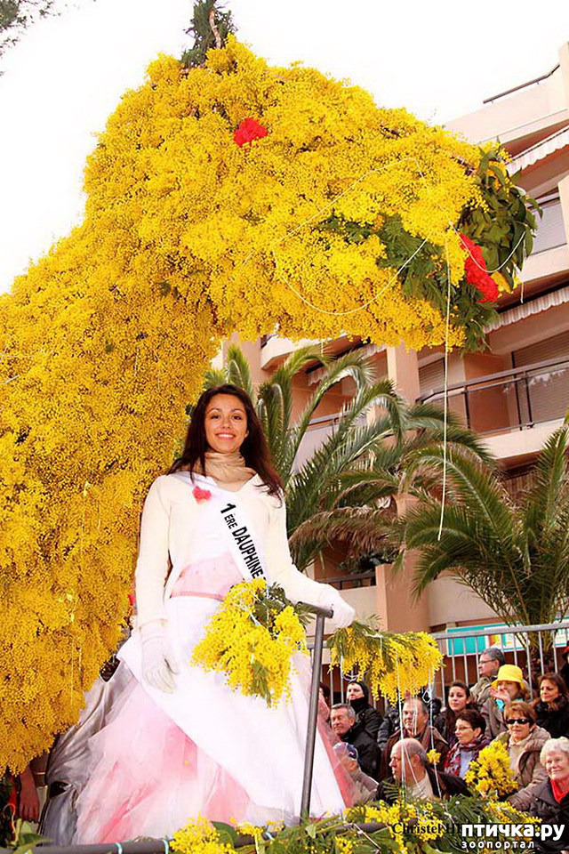 ���� 3: ������