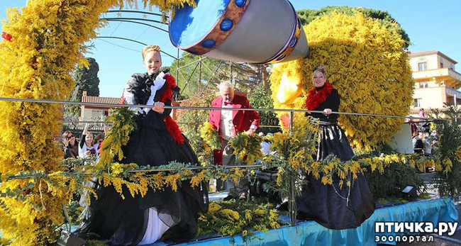 ���� 2: ������