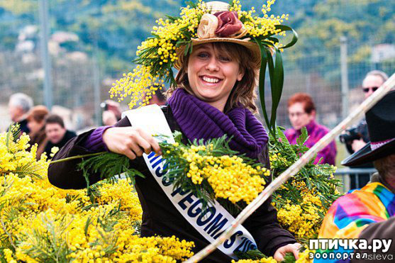 ���� 6: ������