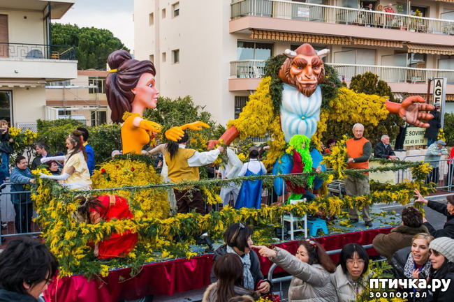 ���� 5: ������